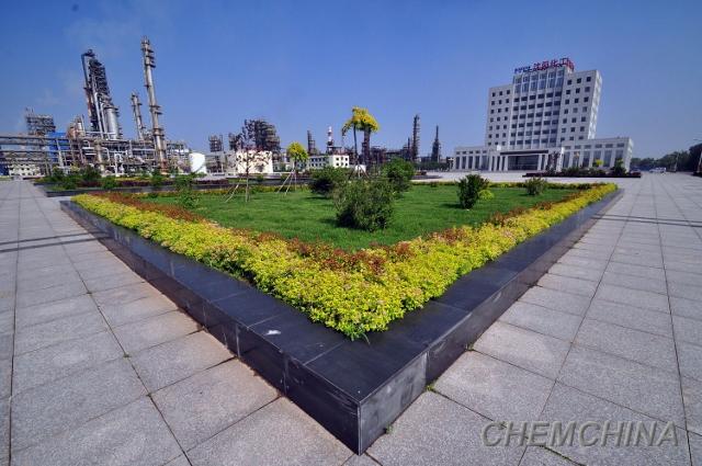 點擊查看大圖